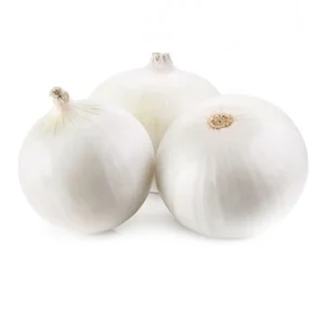 00669-OnionWhiteSpain16