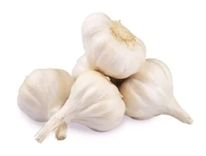 beyondfresh-garlic-india