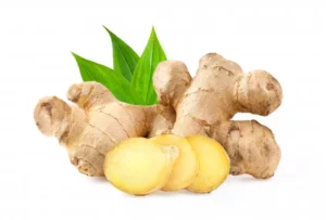 ginger-white-background-depth-field_253984-2691